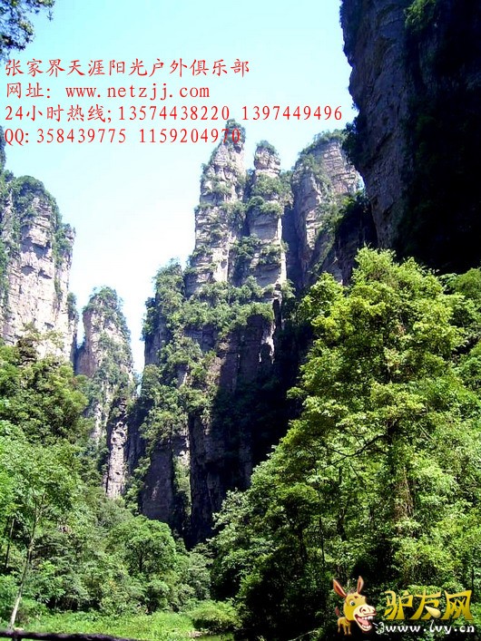 psb (23)_����.jpg